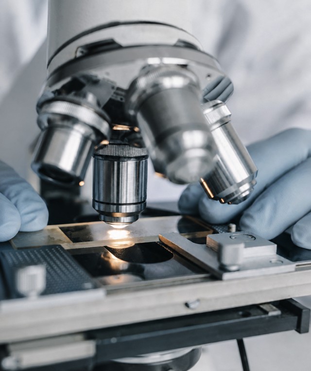 Groglass research and development team